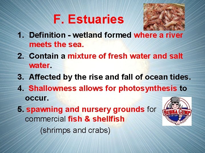 F. Estuaries 1. Definition - wetland formed where a river meets the sea. 2.
