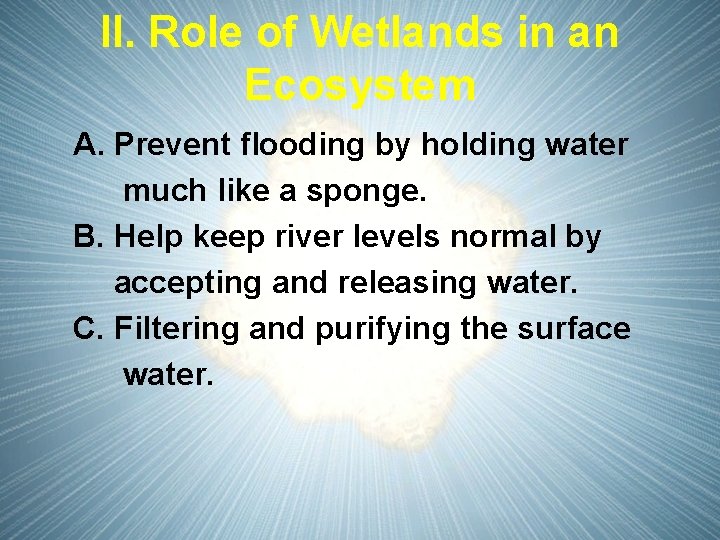 II. Role of Wetlands in an Ecosystem A. Prevent flooding by holding water much