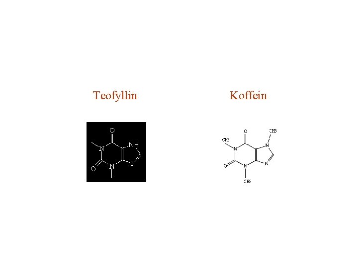 Teofyllin Koffein 