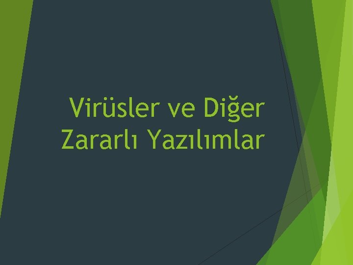 Virüsler ve Diğer Zararlı Yazılımlar Virüsler ve Diğer Zararlı Yazılımlar