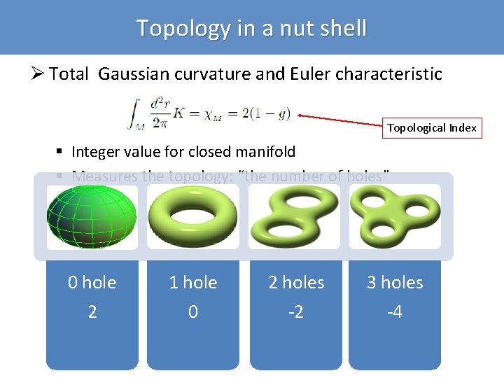 Topology in a nut shell Ø Total Gaussian curvature and Euler characteristic Topological Index