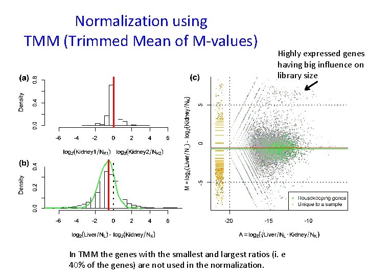 Normalization using TMM (Trimmed Mean of M-values) Highly expressed genes having big influence on