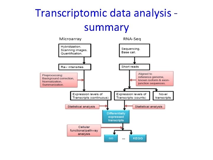 Transcriptomic data analysis summary 