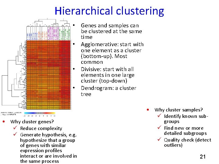 Hierarchical clustering • Genes and samples can be clustered at the same time •