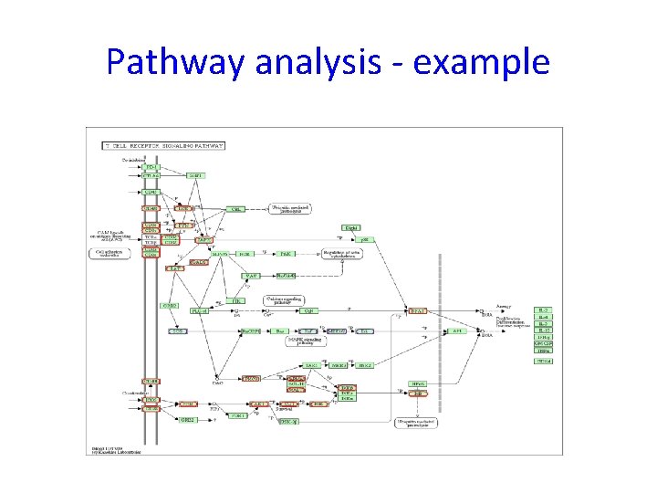 Pathway analysis - example 
