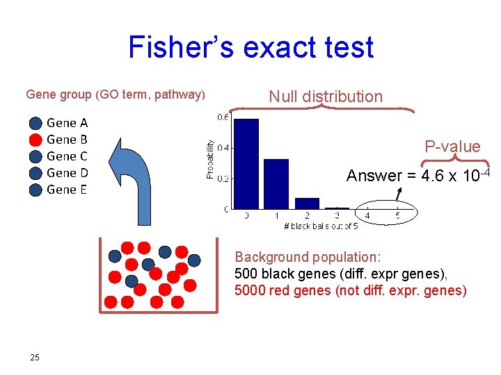 Fisher’s exact test Gene group (GO term, pathway) Gene A Gene B Gene C