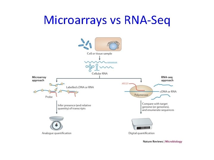 Microarrays vs RNA-Seq 