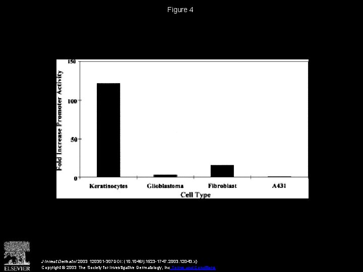 Figure 4 J Invest Dermatol 2003 120301 -307 DOI: (10. 1046/j. 1523 -1747. 2003.