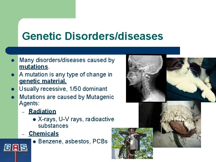 Genetic Disorders/diseases l l Many disorders/diseases caused by mutations. A mutation is any type