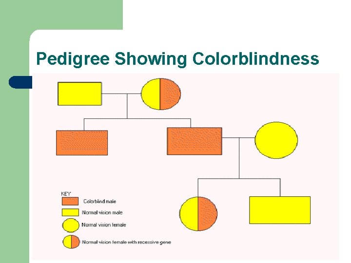 Pedigree Showing Colorblindness 