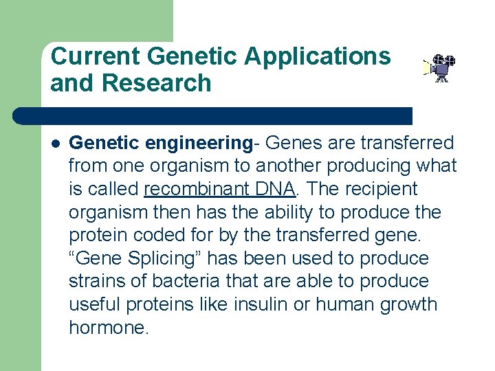 Current Genetic Applications and Research l Genetic engineering- Genes are transferred from one organism