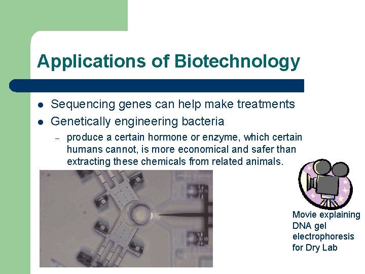 Applications of Biotechnology l l Sequencing genes can help make treatments Genetically engineering bacteria