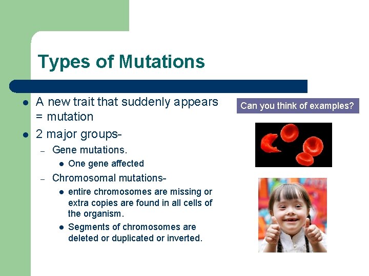Types of Mutations l l A new trait that suddenly appears = mutation 2