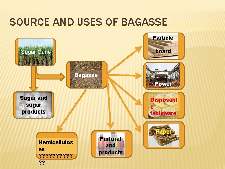 SOURCE AND USES OF BAGASSE Particle board Sugar Cane Bagasse Power Sugar and sugar