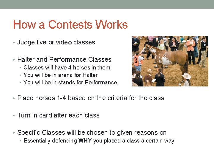 How a Contests Works • Judge live or video classes • Halter and Performance