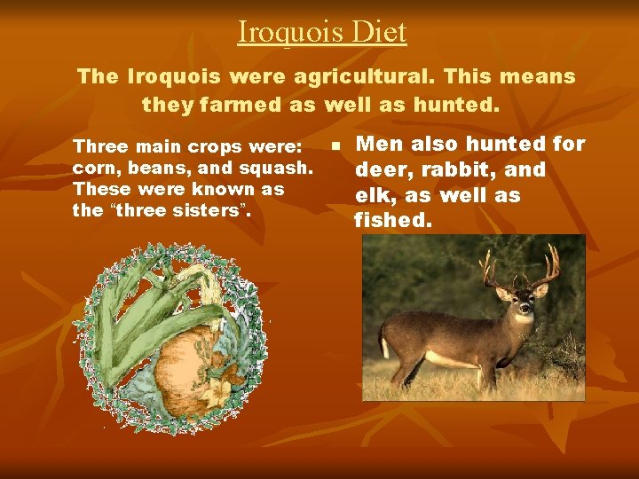 Iroquois Diet The Iroquois were agricultural. This means they farmed as well as hunted.