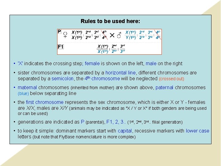 Rules to be used here: • 'X' indicates the crossing step; female is shown