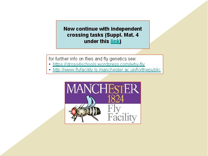 Now continue with independent crossing tasks (Suppl. Mat. 4 under this link) for further Now continue with independent crossing tasks (Suppl. Mat. 4 under this link) for further