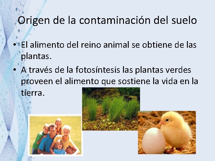 Origen de la contaminación del suelo • El alimento del reino animal se obtiene