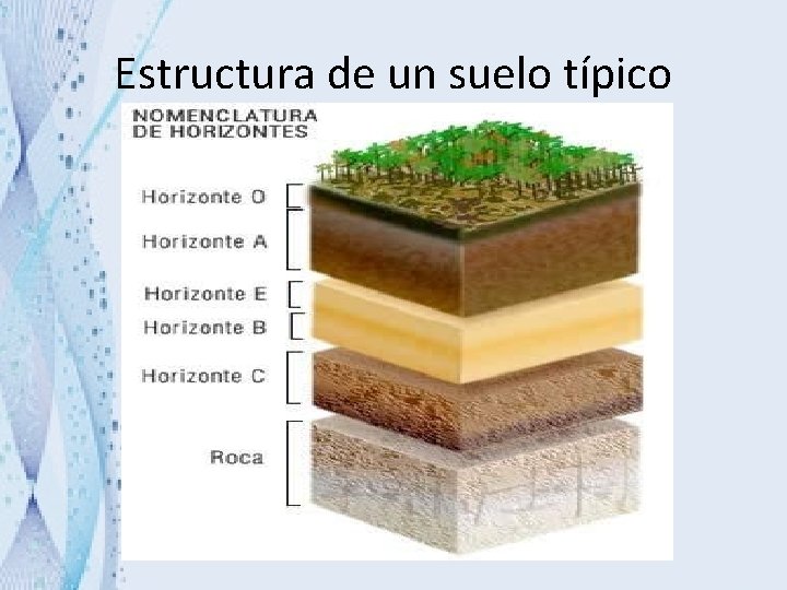 Estructura de un suelo típico 