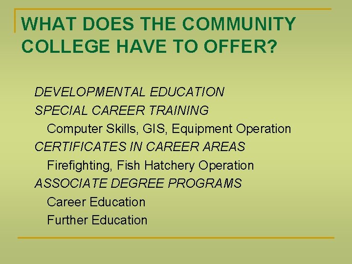 WHAT DOES THE COMMUNITY COLLEGE HAVE TO OFFER? DEVELOPMENTAL EDUCATION SPECIAL CAREER TRAINING Computer