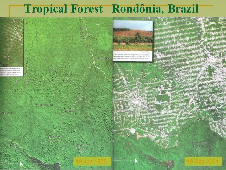 Tropical Forest Rondônia, Brazil 19 Jun 1975 19 Sep 2001 
