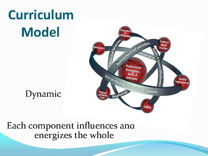 Curriculum Model Dynamic Each component influences and energizes the whole 