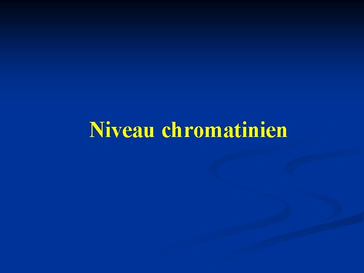 Niveau chromatinien 