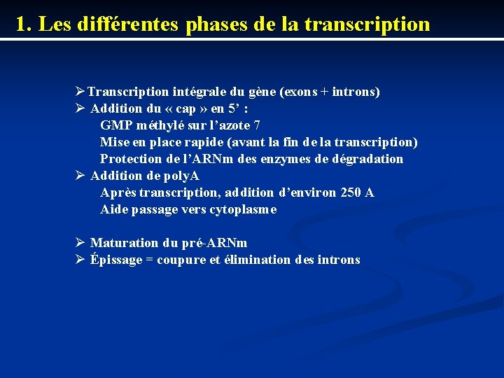 1. Les différentes phases de la transcription ØTranscription intégrale du gène (exons + introns)