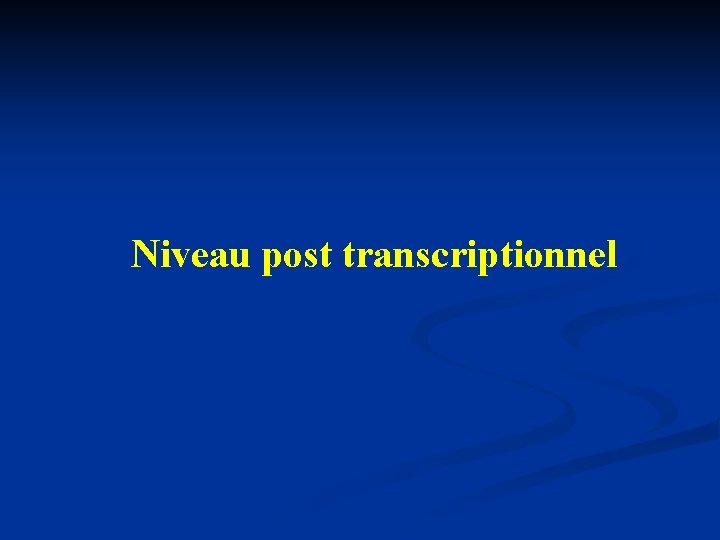 Niveau post transcriptionnel 