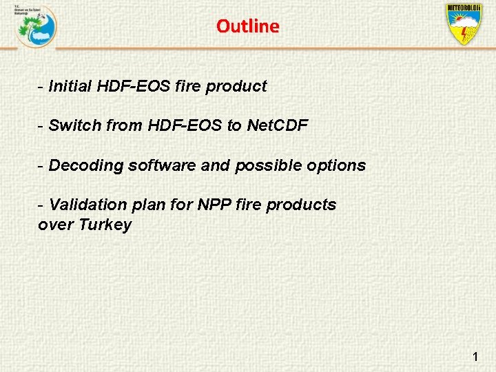 Outline - Initial HDF-EOS fire product - Switch from HDF-EOS to Net. CDF -