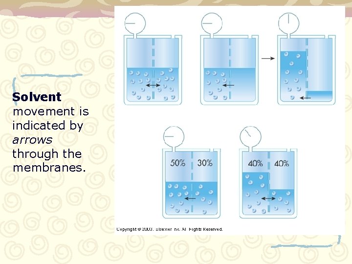 Solvent movement is indicated by arrows through the membranes. 