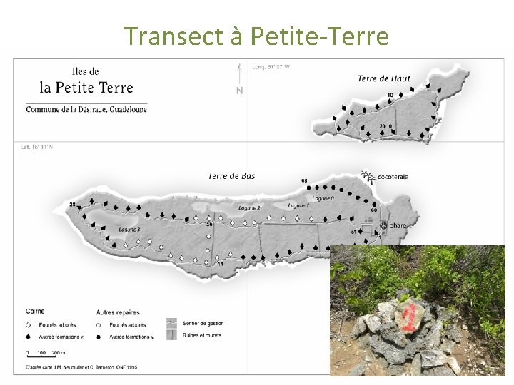 Transect à Petite-Terre 