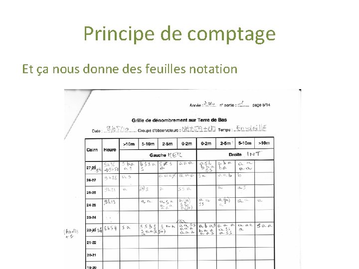 Principe de comptage Et ça nous donne des feuilles notation 