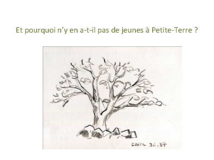 Et pourquoi n’y en a-t-il pas de jeunes à Petite-Terre ? 