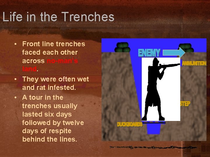 Life in the Trenches • Front line trenches faced each other across no-man’s land.