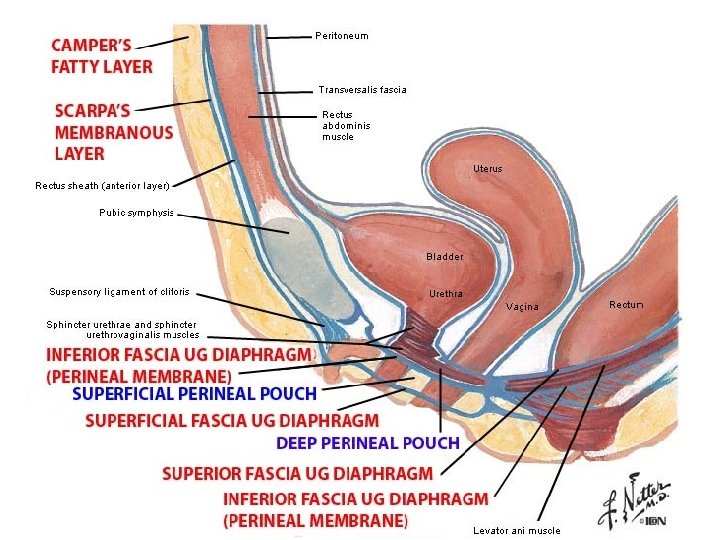 Sunday, January 2, 2022 Lufukuja G. 10 