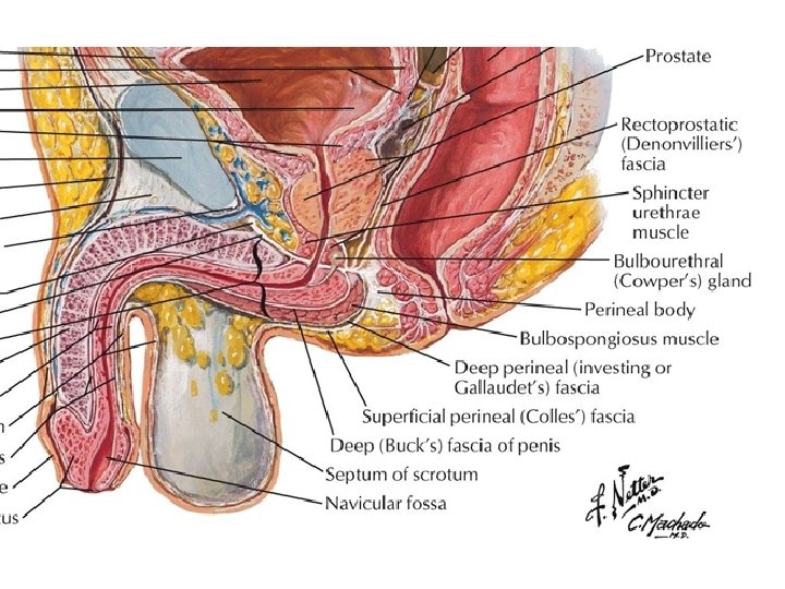 Sunday, January 2, 2022 Lufukuja G. 12 
