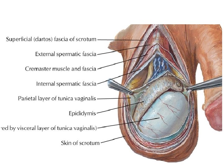 Sunday, January 2, 2022 Lufukuja G. 15 