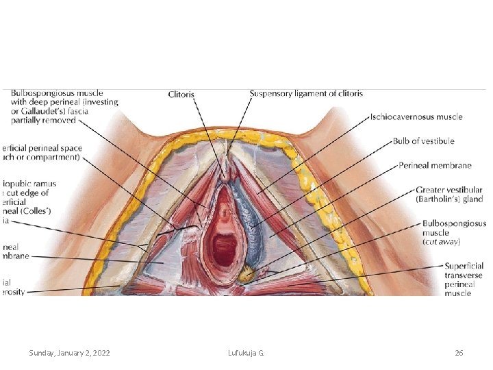 Sunday, January 2, 2022 Lufukuja G. 26 