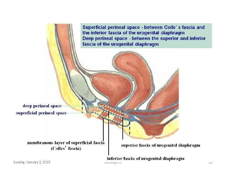 Sunday, January 2, 2022 Lufukuja G. 30 