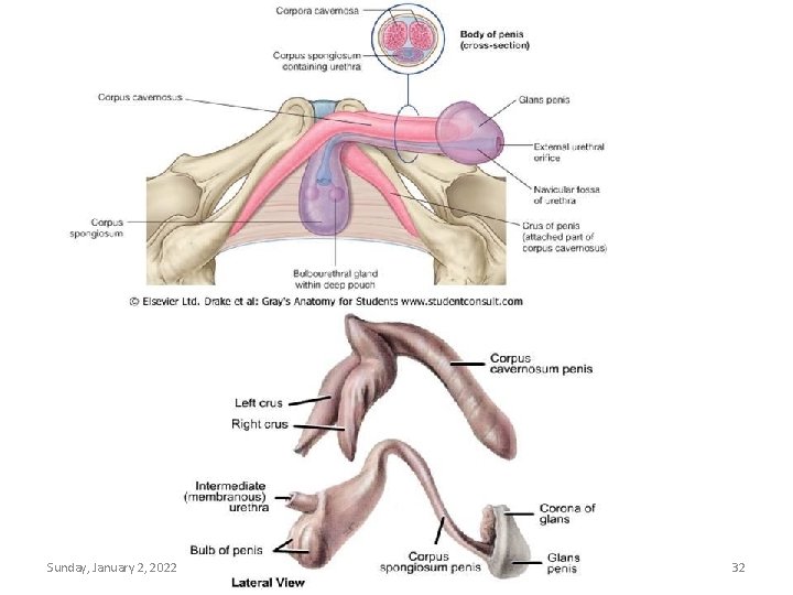 Sunday, January 2, 2022 Lufukuja G. 32 