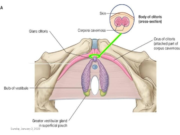 Sunday, January 2, 2022 Lufukuja G. 34 