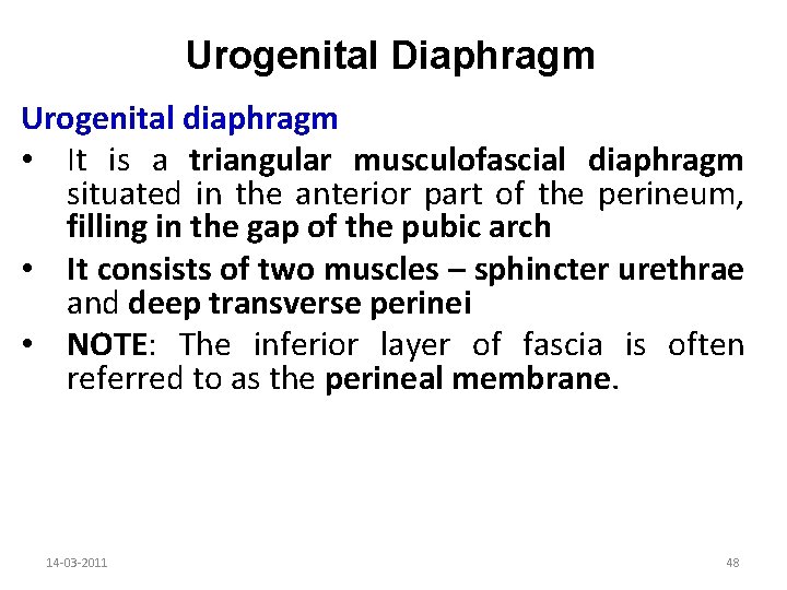 Urogenital Diaphragm Urogenital diaphragm • It is a triangular musculofascial diaphragm situated in the