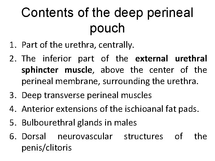 Contents of the deep perineal pouch 1. Part of the urethra, centrally. 2. The
