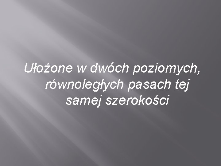 Ułożone w dwóch poziomych, równoległych pasach tej samej szerokości 