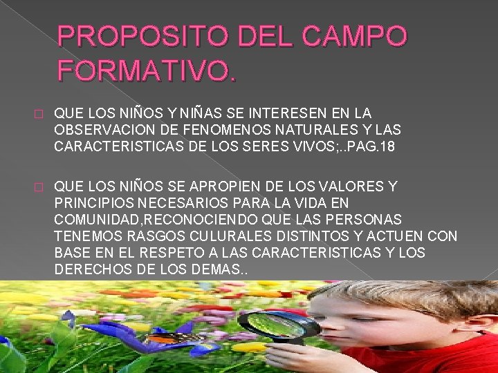 PROPOSITO DEL CAMPO FORMATIVO. � QUE LOS NIÑOS Y NIÑAS SE INTERESEN EN LA