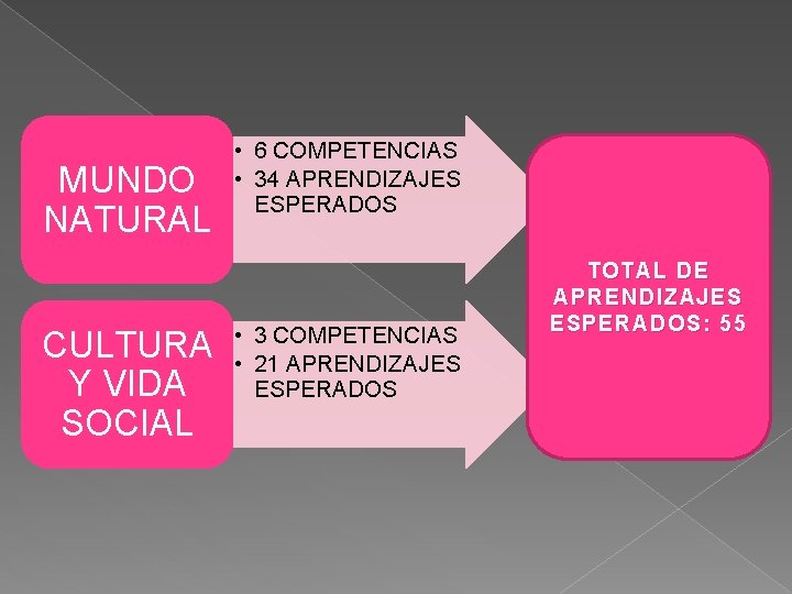 MUNDO NATURAL CULTURA Y VIDA SOCIAL • 6 COMPETENCIAS • 34 APRENDIZAJES ESPERADOS •