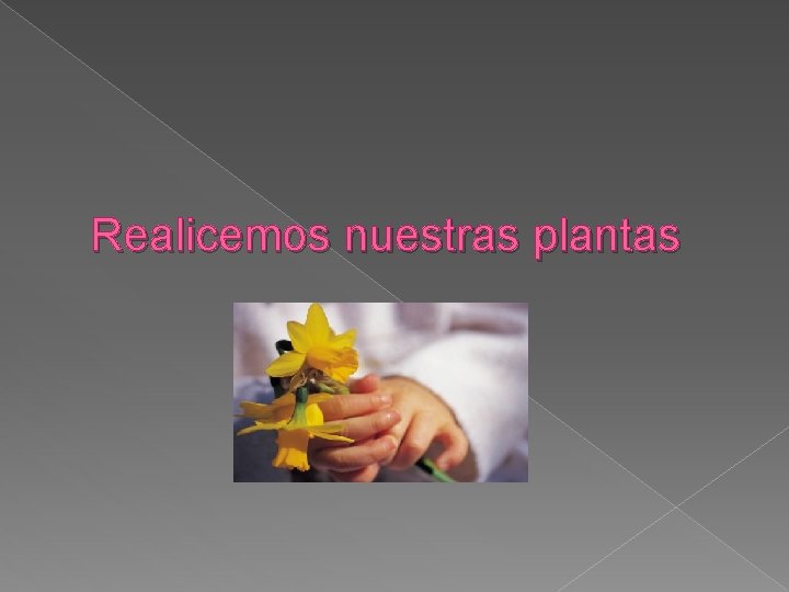 Realicemos nuestras plantas 