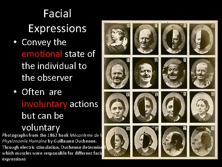Facial Expressions • Convey the emotional state of the individual to the observer •